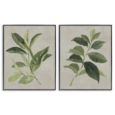 Imagem de Stupell Industries Conjunto de arte giclée emoldurado preto com folhas de planta de chá e café verde, design de Lanie Loreth, 40,6 x 50,8 cm