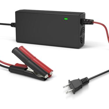 Imagem de TREE.NB Carregador de bateria LiFePO4 de 14,6 V 10 A especial para bateria LiFePO4 de 12 V, carregador de bateria de lítio para bateria de fosfato de ferro e lítio, carregamento rápido com indicador