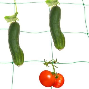 Imagem de Generic Rede de treliça para trepadeiras 2 x 5 m, 18 fios, rede de treliça de jardim resistente, rede de suporte de plantas de polietileno com malha de 10 x 10 cm para frutas, legumes, pepino