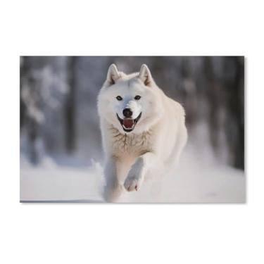 Imagem de HouLaiZhe Pôster de animal lobo branco correndo bela tela estética pôsteres decoração de sala de parede impressões de sala de galeria decoração de parede para quarto sala de estar escritório 11 x 17