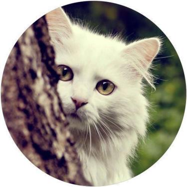 Imagem de Capa De Estepe Ecosport Aircross Gato Branco