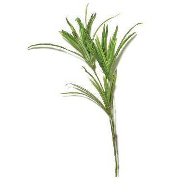 Imagem de Planta Permanente Decorativa - Mart