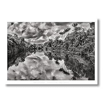 Imagem de Pôster "Sebastião Salgado. Amazônia. Poster Jau River"
