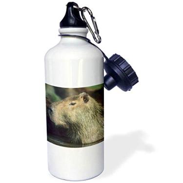 Imagem de 3dRose Garrafa de água esportiva "Capybara wildlife, Llanos, Venezuela SA20 KSC0009 Kevin Schafer", 600 ml, branca