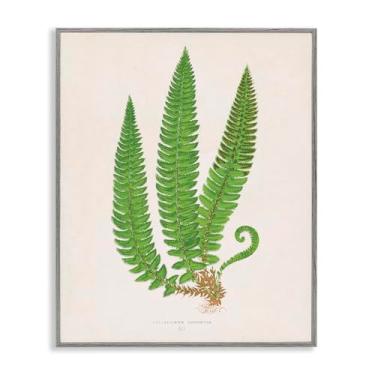 Imagem de Stupell Industries Arte giclée emoldurada cinza trio ramo de samambaia natural, design por Phillipa Katz, 11 x 14