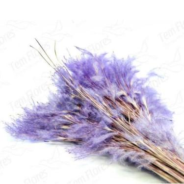 Imagem de Pluminha Flor Desidratada Variações Natural - Pense Flores, Lilás