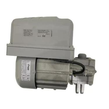 Imagem de Motor peccinin NICE F2000 com central CP 4020F