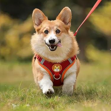 Imagem de Peitoral para cães pequenos e médios, com estampa de cachorro fofo, malha respirável e ajustável, fácil de colocar e confortável para caminhadas diárias (vermelho G)
