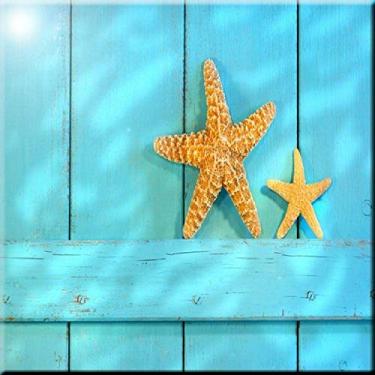 Imagem de Rikki Knight Azulejo de arte em cerâmica com design de porta rústica azul estrela-do-mar, 20 x 20 cm