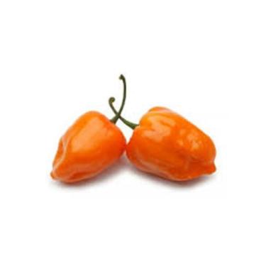 Imagem de Pimenta BRS Nandaia Habanero Laranja - 1gr de Sementes - Isla 