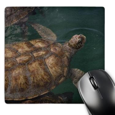 Imagem de 3dRose Turtle Farm Green Sea Turtle Grand Cayman Ca42 Len0016 Lisa S Engelbrecht Mouse Pad (mp_134982_1)