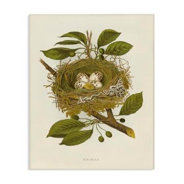 Imagem de Stupell Industries Design de arte de parede em tela Birdnest with Spotted Eggs por Tina Higgins Designs, Inc., 40 x 50 cm