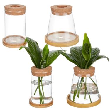 Imagem de OLYCRAFT 2 pacotes de vasos de propagação de plantas, 2 estilos, vaso de vidro hidropônico com bandeja de bambu e tampa separada, terrário para mesas, decorações de jardim para amantes de plantas
