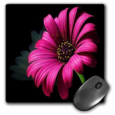 Imagem de 3dRose Mouse pad LLC 20 x 20 x 0,65 cm, margarida rosa choque em preto (mp_62103_1)