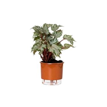 Imagem de Vaso Autoirrigável Médio N03 16cm x 14cm - Terrazzo Terracota