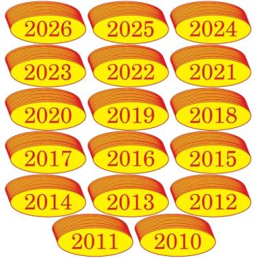Imagem de Adesivos de ano de para-brisa de carro (2010-2026) - 17 dúzias (12 por ano, 204 no total) - vinil oval grande vermelho e amarelo - impermeável, fácil de remover, ideal para concessionárias de carros
