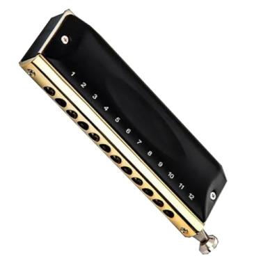 Imagem de Gaita profissional para tocar gaita cromática de 12 furos instrumento requintado para tocar harpa profissional