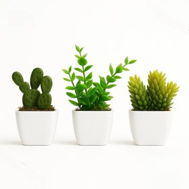 Imagem de KIT COM CACTO VASO QUADRADO