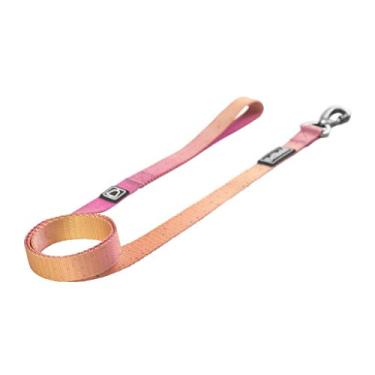 Imagem de Guia Cachorro Aurora Bellbold