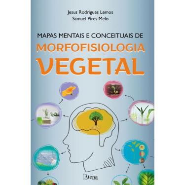 Imagem de Mapas mentais e conceituais de morfofisiologia vegetal