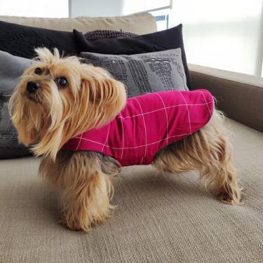 Imagem de Roupa capa pet frio inverno ajustável 13 tamanhos fácil de colocar cac