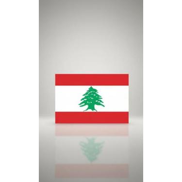Imagem de Bandeira Nacional 1,50x0,90m Poliéster Resistente - Congratulations St