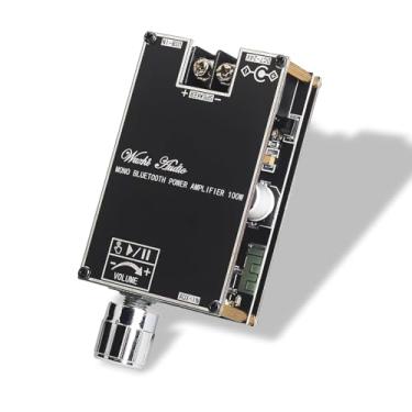 Imagem de Placa amplificadora mono Wuzhi Audio ZK-1001B