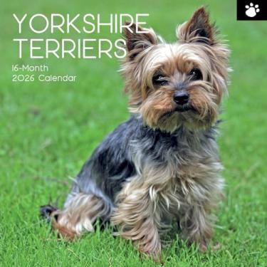 Imagem de Calendário de parede quadrado 2026 The Gifted Stationary, Yorkshire Terriers, calendário suspenso com tema de animais de 16 meses com 180 adesivos de lembrete, agenda de meses para casa ou espaços