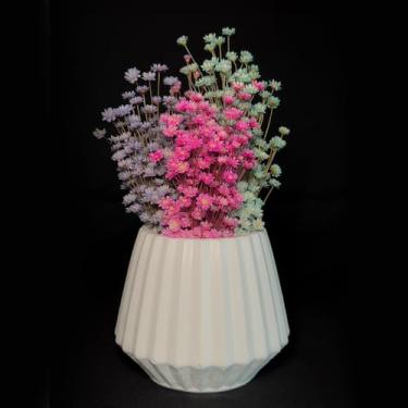 Imagem de Arranjo de Flores Sempre-Vivas Naturais em Vaso Decorativo, 15 cm, Branco com Padrão Art Déco (30)