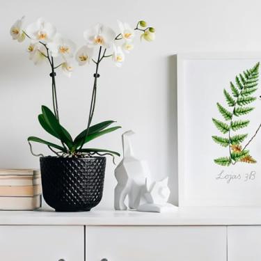 Imagem de Vaso de Mesa modelo Beta em Polietileno 3,6L (Preto)