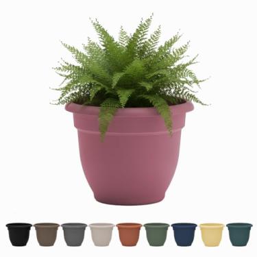 Imagem de Bloem Vaso de vaso Ariana de 20,32 cm com rosas empoeiradas e auto-irrigáveis – Vaso de resina plástica de borda enrolada para jardinagem interna ou externa com orifícios de drenagem, feito nos EUA