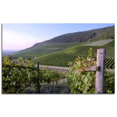 Imagem de Impressão em tela de campo Vineyard Hills Poster Arte de parede para casa 1 peça Decorações Noframed 33.0 cmx20.3 cm