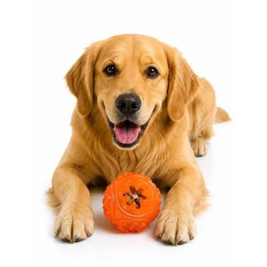 Imagem de Brinquedo Pet Bola Snack Ball Borracha Petisco Cães Totoys