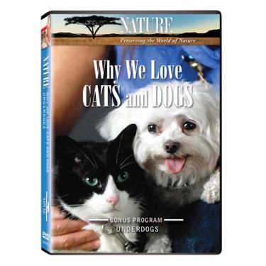Imagem de Nature: Why We Love Cats & Dogs