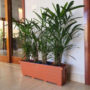 Imagem de Floreira Para Plantas Jardineira de Chão 80cm - Goyama, Terracota