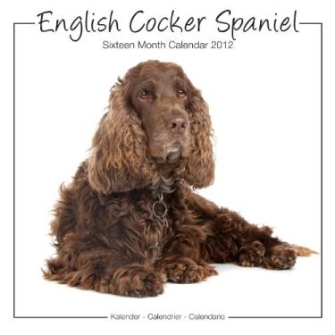 Imagem de English Cocker Spaniel 2012 Calendar #30461-12
