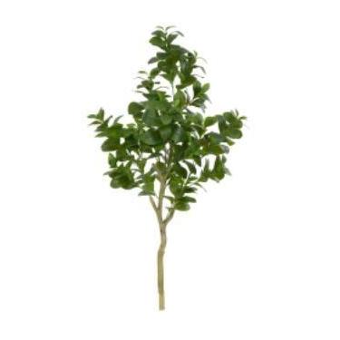 Imagem de Planta Árvore Artificial Clusia Real Toque X282 Verde 1,2m - FLORESCER