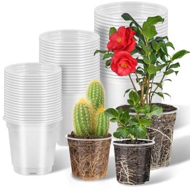 Imagem de CXIIPOL Pacote com 60 vasos de plantas transparentes com drenagem, vasos de berçário transparentes para plantas, vaso de plástico para berçário para lindas suculentas, plantas de paisagem