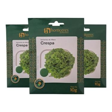 Imagem de Sementes de Alface Crespa 30g Horticeres  Folhas Verdes e Crocantes - 