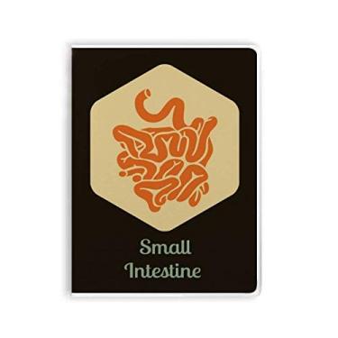 Imagem de Caderno para pequenos órgãos corporais, capa macia para pasta de intestino