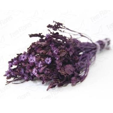 Imagem de Alecrin Roxo Desidratado - Flor Natural Arranjo Colorida