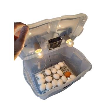 Imagem de Chocadeira Compacta Com Controle De Temperatura automático capacidade para 30 Ovos de Galinha ou 90 ovos de codorna