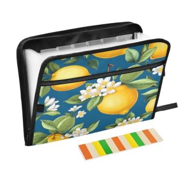 Imagem de CEBUGI Pasta expansível de 13 bolsos, impermeável, sanfonada, organizador de arquivos com etiquetas tamanho A4, organizador de documentos de papel para escola, material de escritório, limão