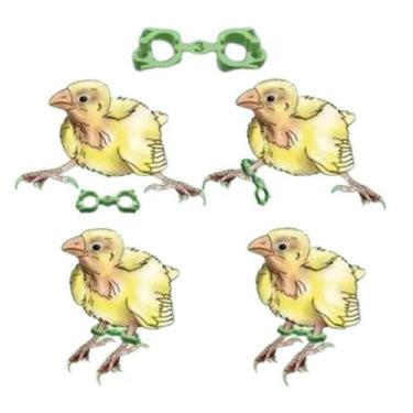 Imagem de Algema Bracelete 3.0mm para Correção de Pernas Para Canários - Importa