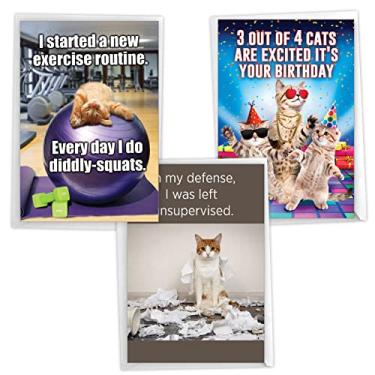 Imagem de NobleWorks Pacote sortido de 3 cartões comemorativos de aniversário de gatos legais com envelopes de 12 x 18 cm (3 designs, 1 cada) Felinos engraçados VC2809BDG-C1x3