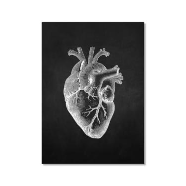 Imagem de Fundo preto anatomia humana arte médica impressões em tela imagens esqueleto músculo pôster vintage educação pintura arte decoração de parede (SKU14,30.5x40.6 cm = (30x40cm), sem moldura)