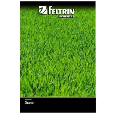Imagem de Sementes de Grama Jesuíta São Carlos para Jardim FELTRIN