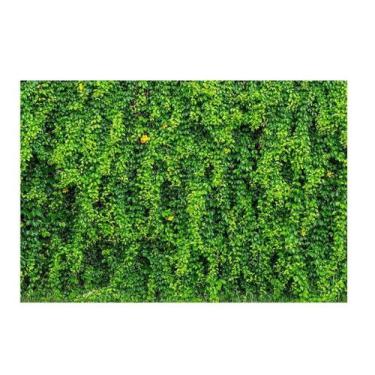 Imagem de Fundo Fotográfico Muro Inglês 2,2X1,5 Fff-503 - Felicitá