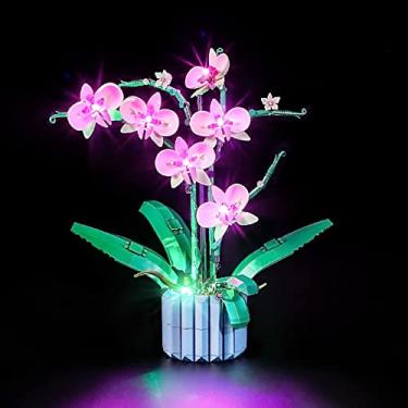 Imagem de YEABRICKS LED Light Kit for Lego - Creator Orchid Building Blocks Model, LED Light Set Compatible with 10311(Lego Set NOT Included)