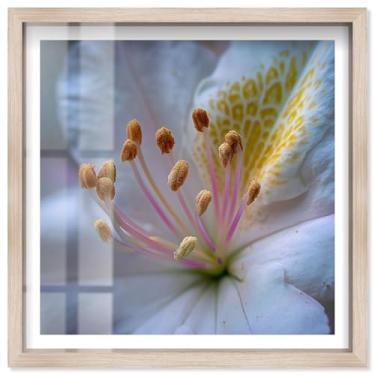 Imagem de Forest of Anthers I Shadowbox Print Floral Wall Art por Notoriart, moldura loira, 63 x 63 cm